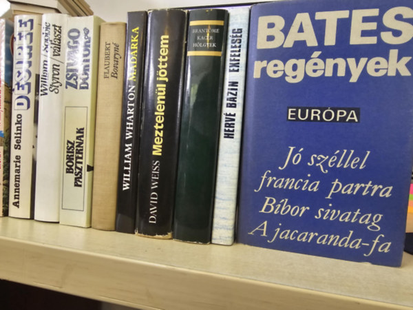Herv� Bazin, Brantome, David Weiss, William Wharton, Gustave Flaubert, Borisz Paszternak, William Styron, Annemarie Selinko, Cronin Norman Bates - 8db vil�girodalmi k�tet, K�NYVMENT� AJ�NLAT: Bates reg�nyek+ Exfeles�g+ Kac�r h�lgyek+ Meztelen�l j�ttem+ + Bovaryn�+ Zsivago doktor+ Sophie v�laszt+ D�sir�e+