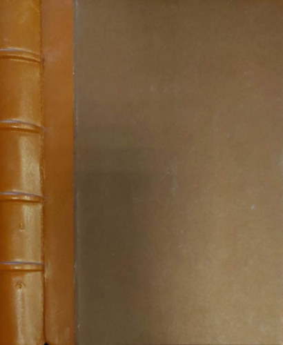 Czegldy Sndor  (szerk.) - Jzus lete a ngy evangelista eladsban