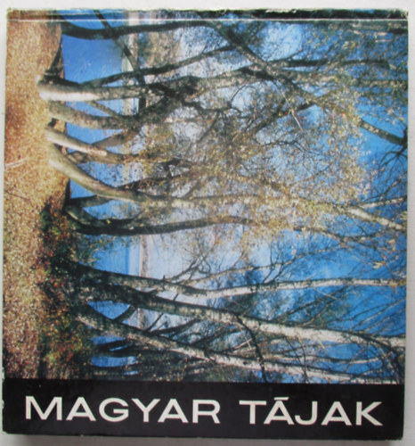 Czeizing Lajos - Magyar tjak