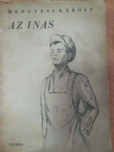Medgyesi Károly - Az inas