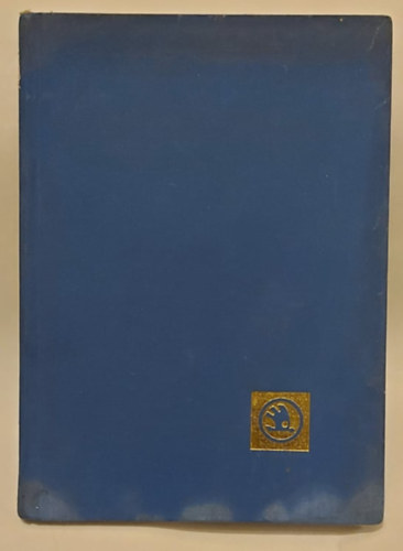 Virágh Iván (ford.) - SKODA 100, 100 L, 110 L személygépkocsi kezelési útmutatója