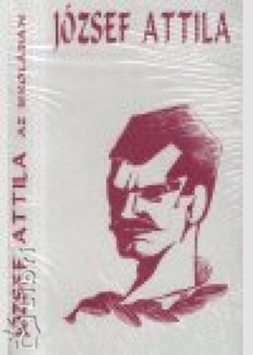 Jzsef Attila az iskolban