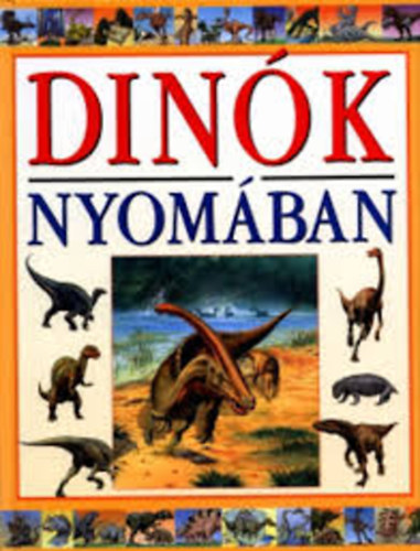 Dink nyomban