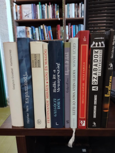 F�rster Vera, F�ja G�za, Ferdinandy Mih�ly, Galg�czi D�ra, Heltai G�sp�r, Gerl�czy M�rton, G�czi J�nos Galg�czi Erzs�bet - Magyar irodalom 10 db K�NYVMENT� AJ�NLAT: Kett�s �nnep,  Kapaszkodj..., Visegr�di est�k, G�g �s Mag�g, Hall�, itt a Mennyorsz�g!, Felpr�b�lt �letek , Sz�z fabula, A Szabadok Testv�ris�ge, V�r�terem, Viotti n�gy vagy �t �lete