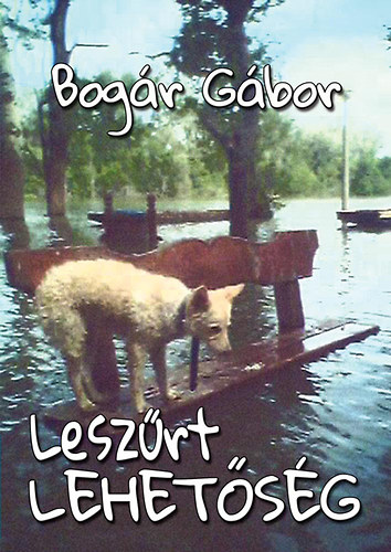 Bog�r G�bor - Lesz�rt lehet�s�g