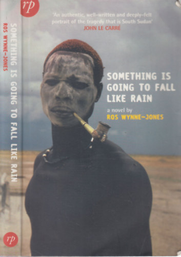 Ros Wynne-Jones - Something is going to fall like rain
