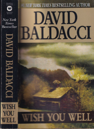 David Baldacci - Wish you well