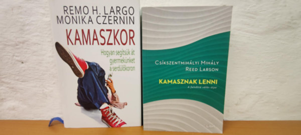 Remo H. Largo Csíkszentmihályi Mihály - Gyermeknevelési könyvcsomag