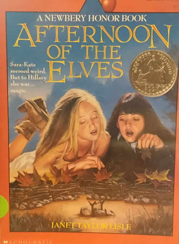 Janet Taylor Lisle - Afternoon of the Elves.