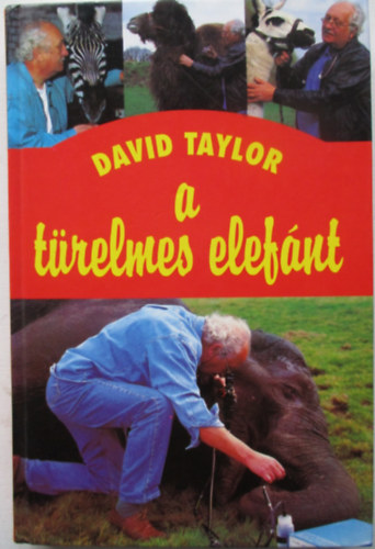 David Taylor - A trelmes elefnt