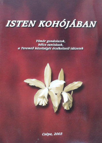 Tassy Jolán - Isten kohójában