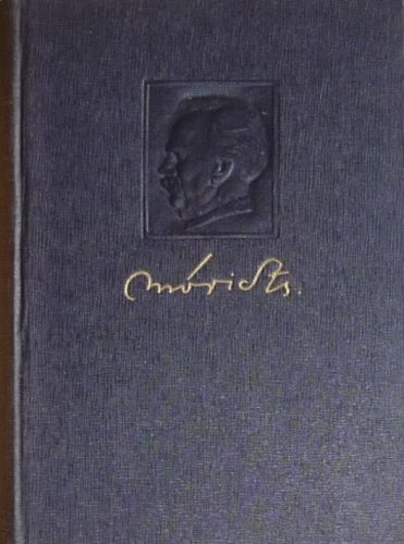 Mricz Zsigmond - Az asszony beleszl - Rab oroszln