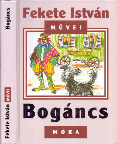 Fekete Istvn - Bogncs (Fekete Istvn Mvei)