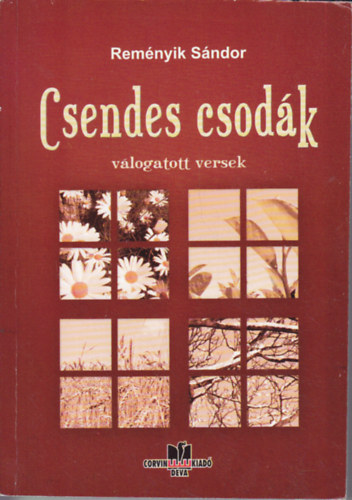 Rem�nyik S�ndor - Csendes csod�k
