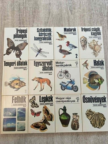 12 db B�v�r zsebk�nyv