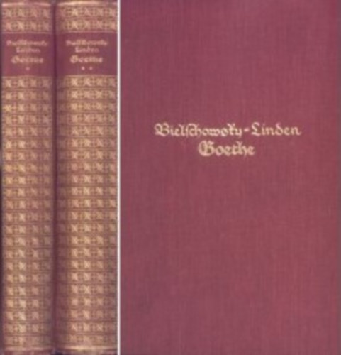 Albert Bielschowsky - Goethe (Sein Leben und seine Werke)