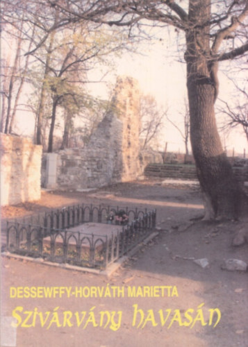 Desseffy-Horváth Marietta - Szivárvány havasán