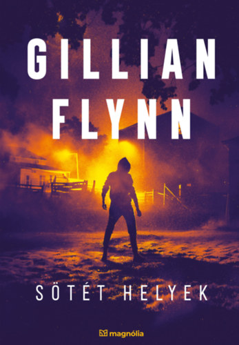 Gillian Flynn - S�t�t helyek
