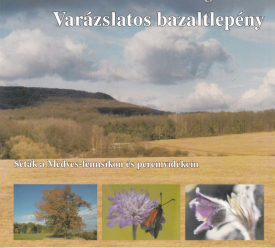 Andrásfalvi-Faragó Zoltán - Varázslatos bazaltlepény