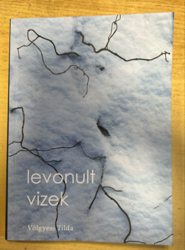 Vlgyesi Tilda - levonult vizek