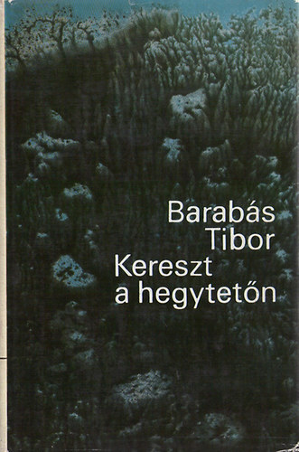 Barabás Tibor - Kereszt a hegytetőn