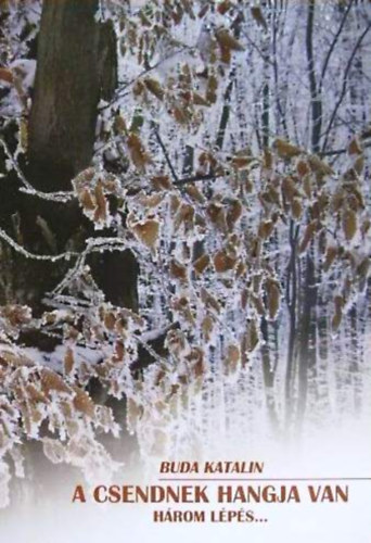 Buda Katalin - A csendnek hangja van - H�rom l�p�s...