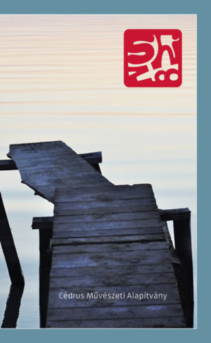 Hegyi Zolt�nimre - Shizoo