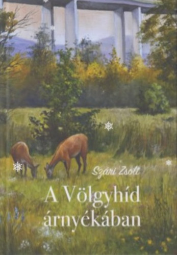 Szri Zsolt - A Vlgyhd rnykban
