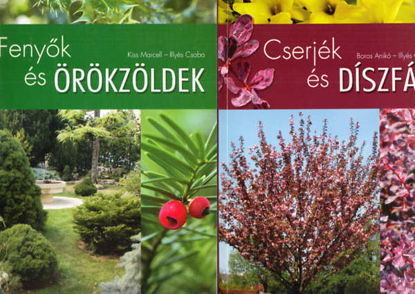 Kiss Marcell-Illy�s Csaba Illy�s Csaba Boros Anik� - Cserj�k �s d�szf�k + Feny�k �s �r�kz�ldek