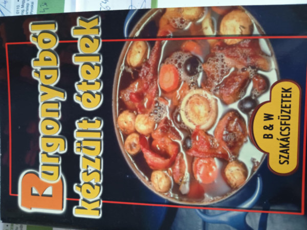 Burgony�b�l k�sz�lt �telek