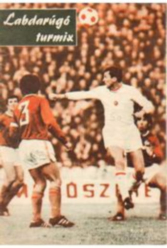 Labdar�g� turmix