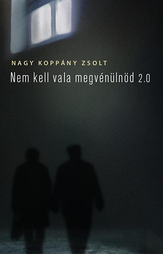 Nagy Kopp�ny Zsolt - Nem kell vala megv�n�ln�d 2.0