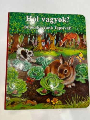 Hol vagyok? Bjcskzzunk Tapsival!