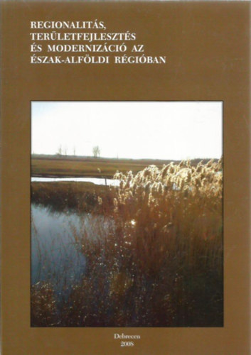 Nagy János Baranyi Béla (szerk.) - Regionalitás, területfejlesztés és modernizáció az Észak-Alföldi régióban