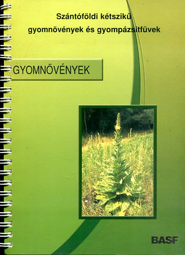 Sz�nt�f�ldi gyomn�v�nyek