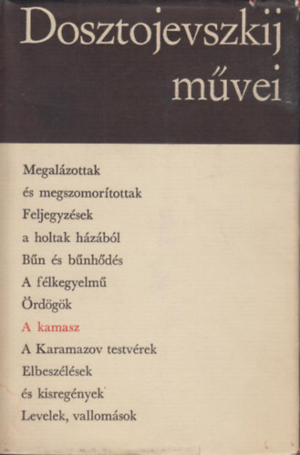 Fjodor Mihajlovics Dosztojevszkij - A kamasz