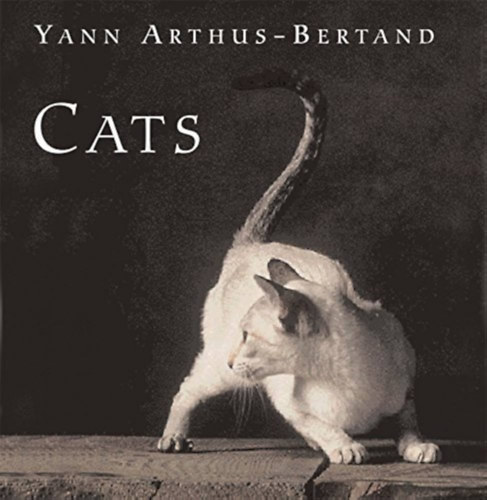 Yann Arthus-Bertrand - Cats (cic�k, macskafajt�k angol nyelven)