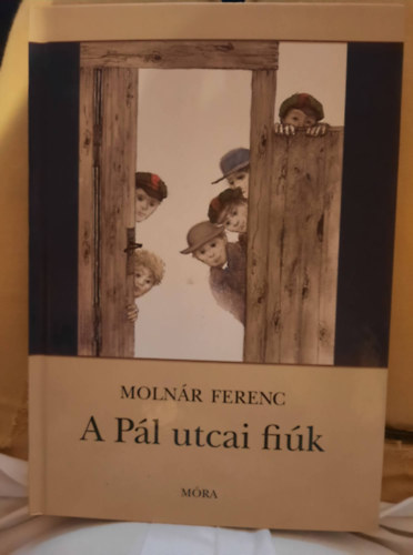 A pl utcai fik