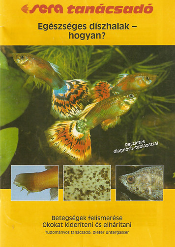 Egszsges dszhalak - hogyan? (Betegsgek felismerse)