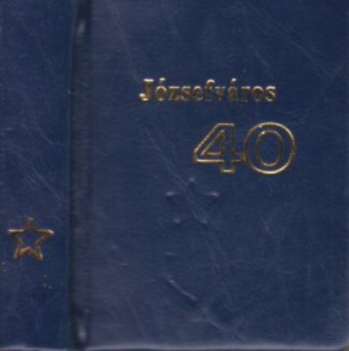 Szigeti Piroska Tthn Deigner Anna - Jzsefvros 40. (miniknyv)