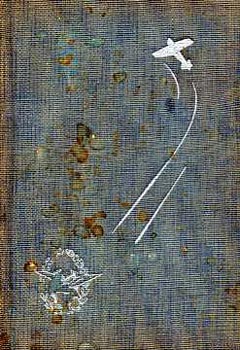 Günther Plüschow - Ezüst kondor