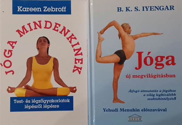 Kareen Zebroff B. K. S. Iyengar - Jga j megvilgtsban + Jga mindenkinek (2 m)