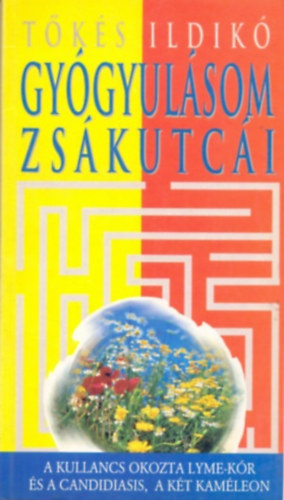 T�k�s Ildik� - Gy�gyul�som zs�kutc�i