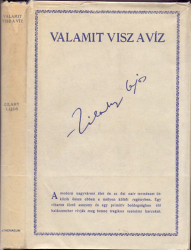 Zilahy Lajos - Valamit visz a vz