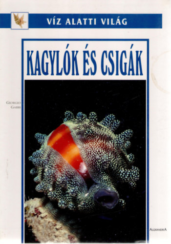 Giorgio Gabbi - Kagylók és csigák (víz alatti világ)