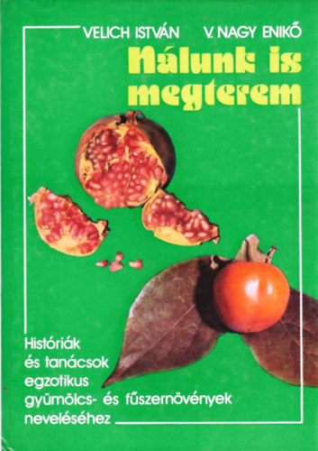 Velich Istvn-V. Nagy Enik - Nlunk is megterem
