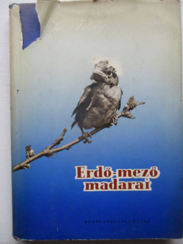 Vertse A.-Tildy Z. - Erdő-mező madarai
