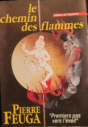 Pierre Feuga - Le chemin des flammes