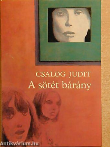 Csalog Judit - A stt brny