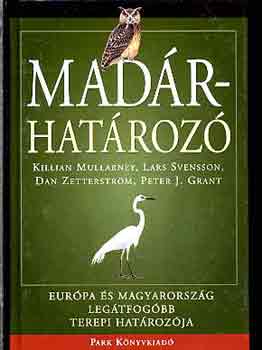 Dan Zetterstrm, Killian Mullarney Lars Svensson - Madrhatroz